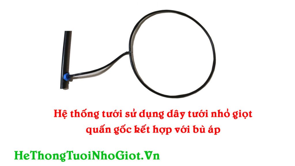 Dây nhỏ giọt quấn gốc kết hợp đầu bù áp