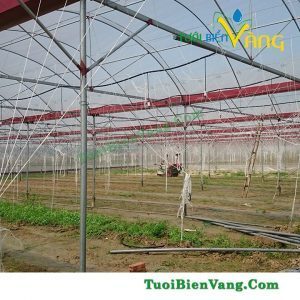 Béc tưới phun mưa