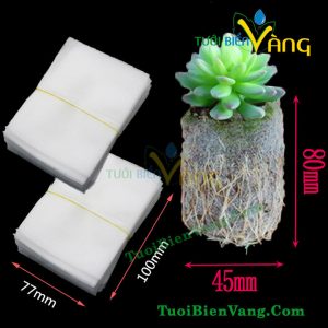 Túi bầu ươm cây tự hủy