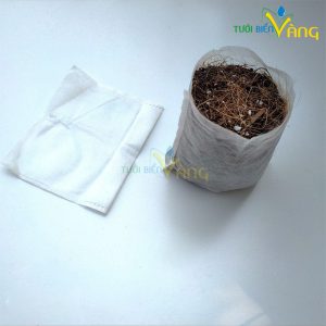 Túi bầu ươm cây tự hủy