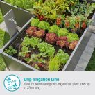 Hệ thống tưới nhỏ giọt cho hoa cây cảnh